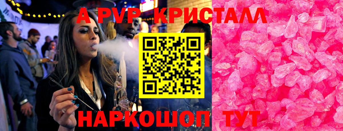 Альфа ПВП СК КРИС Пугачёв
