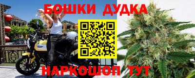 дмт Новодвинск