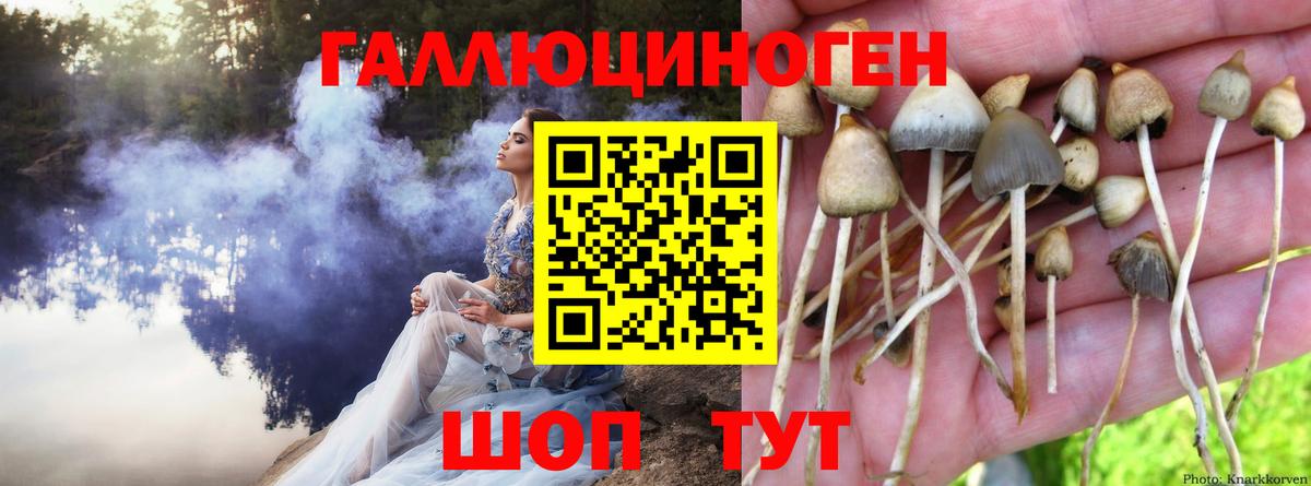 как найти наркотики  Псилоцибиновые грибы MAGIC MUSHROOMS  Вход с VPN  Пугачёв 